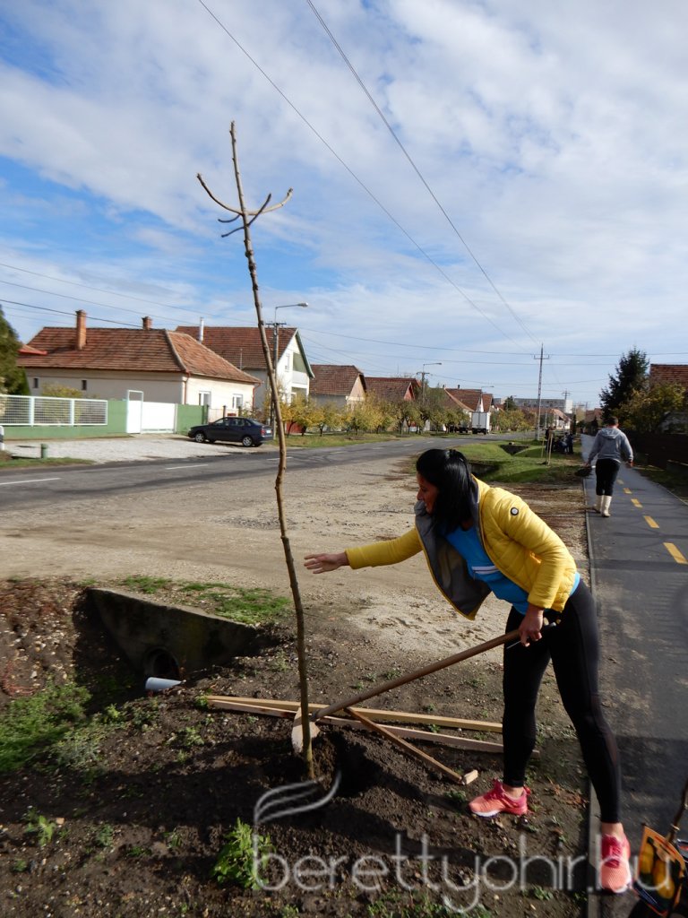 Közösségi faültetés Berettyóújfaluban 32